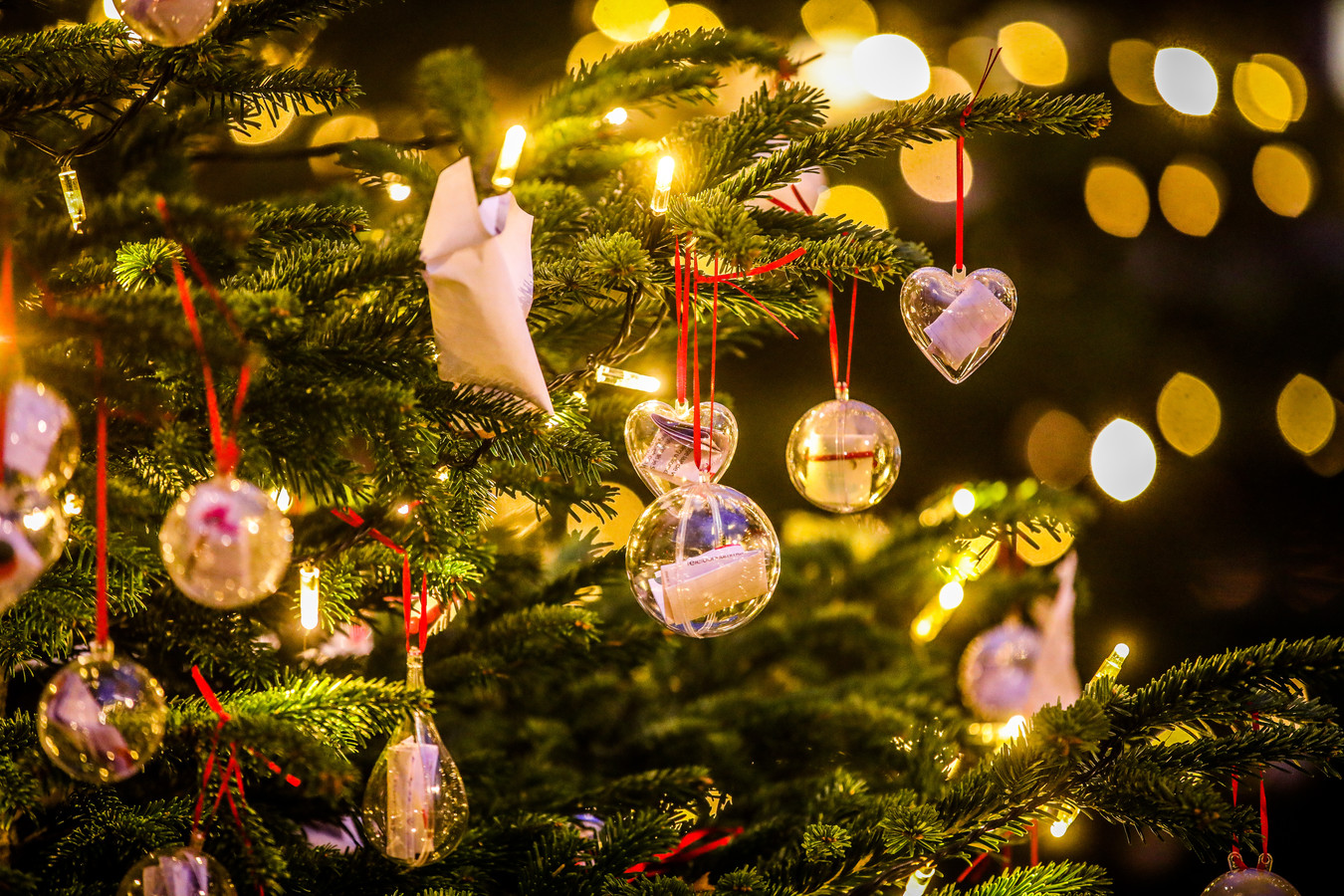 Wensenbos in Brugge blijkt groot succes meer dan 1.000 kerstballen met
