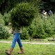Hoe vier je een duurzame kerst? ‘Die kerstboom maakt eigenlijk niets uit’