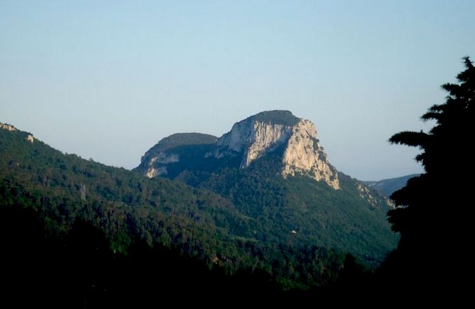 La Rocca dei Berti.