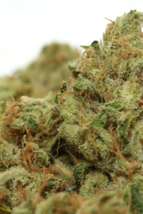 Deux intoxications avec un gâteau maison au cannabis