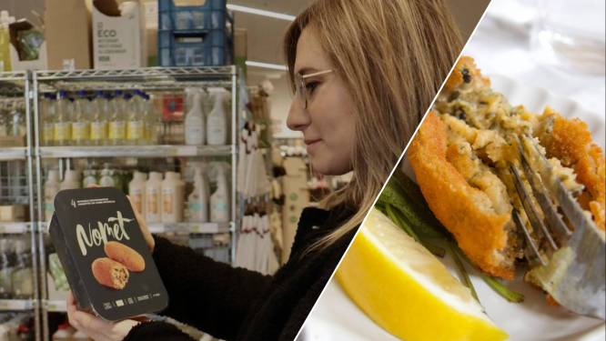 Brugse garnaalkroket op basis van zeewier voortaan in 32 verkooppunten over heel Vlaanderen te verkrijgen: “Wil op termijn nog meer zeewierproducten op de markt brengen”