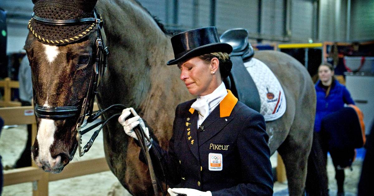 Olympisch gouden paard Salinero van Anky van Grunsven overleden ‘Mijn held, mijn hart is