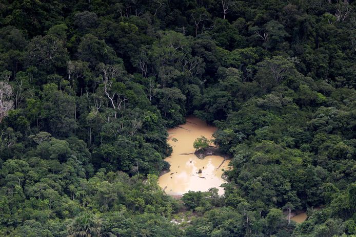 Het Amazonegebied wordt bedreigd door menselijke activiteit.