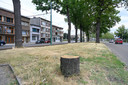 De buurtbewoners van de Boekenberglei en de Gitschotellei zien de kap van 64 bomen niet zitten. Ook Groen klaagt de nieuwe keerlus aan.