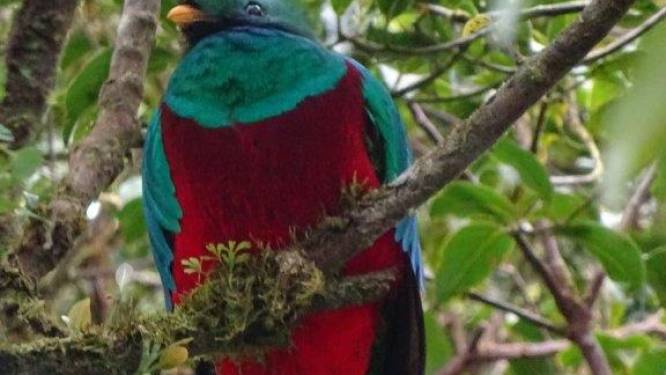 MIJN FOTO | Groetjes uit Costa Rica
