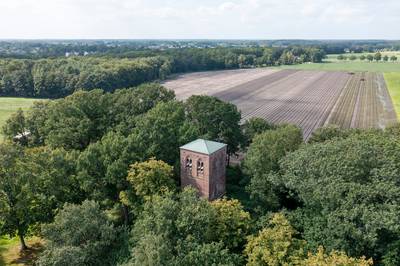 Bosjes met brandnetels maken plaats voor kerkmuren bij restauratie Oude Toren