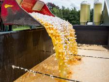 Justitie eist twee jaar cel: ‘Verdachten fipronilzaak probeerden vaten luizenmiddel weg te moffelen’