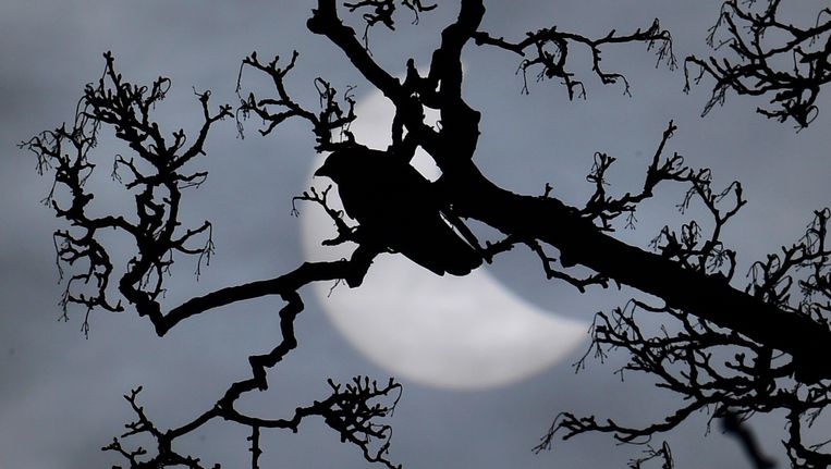 null Beeld REUTERS