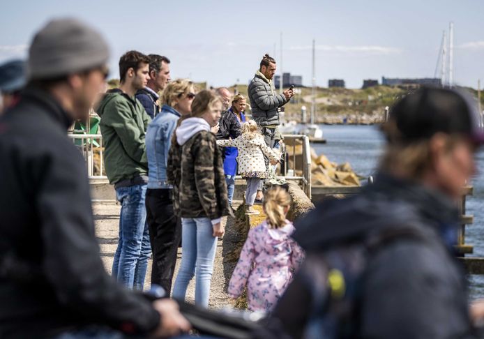 Mensen verzamelden zich bij de jachthaven in IJmuiden in de hoop een glimp op te vangen van dolfijn Zafar.
