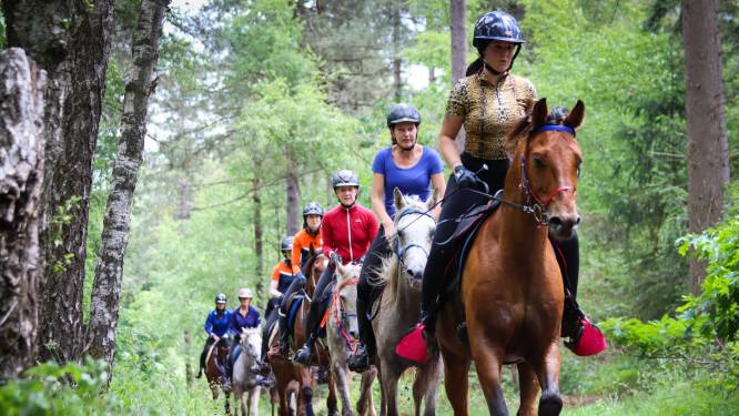 Carmen rijdt tocht van 160 kilometer met haar paard, mét pitstops