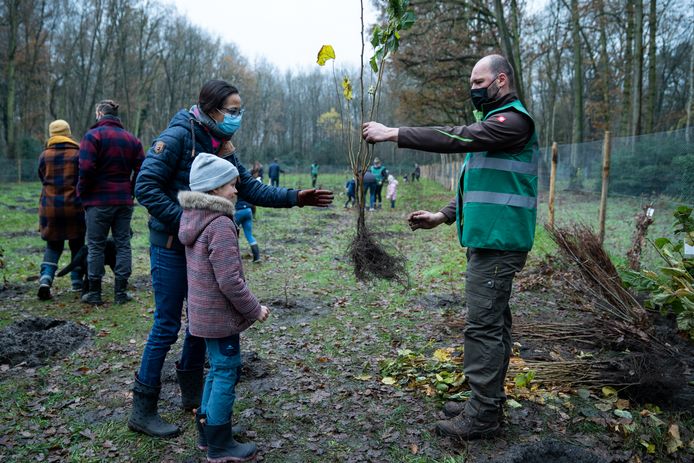 Illustratiebeeld bomen planten.