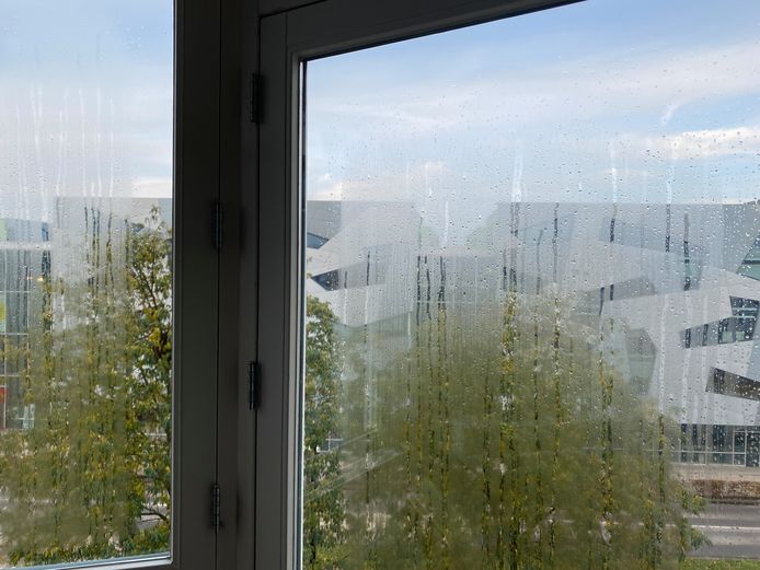 Beslagen ramen in huis? Hierdoor ontstaat de condens Wonen tubantia.nl