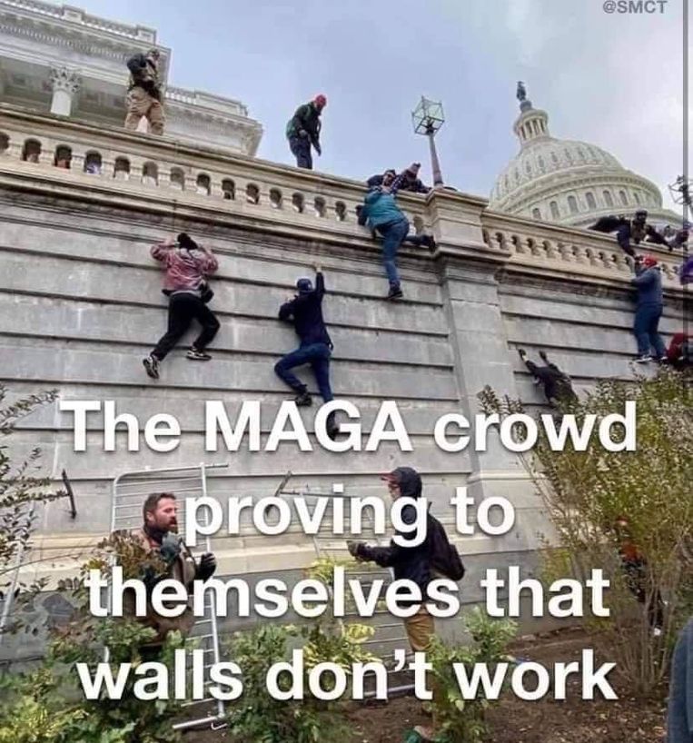 MAGA Beeld we