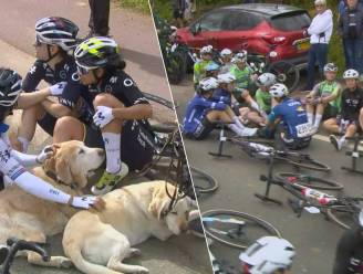 Kopecky en co uur aan kant na ongeval met politieagent in Amstel Gold Race voor vrouwen, maar honden zorgen voor goed gezelschap