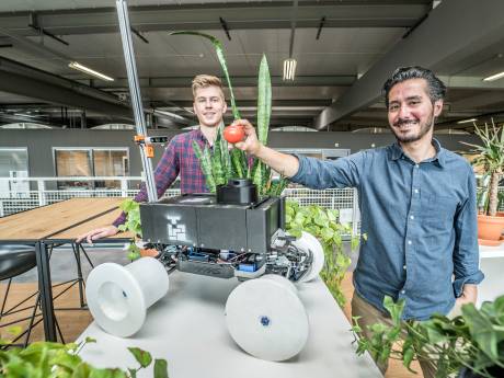 Deze robotdokter zoekt naar zieke planten in een kas: ‘Zo kun je groot deel van oogst op tijd redden’