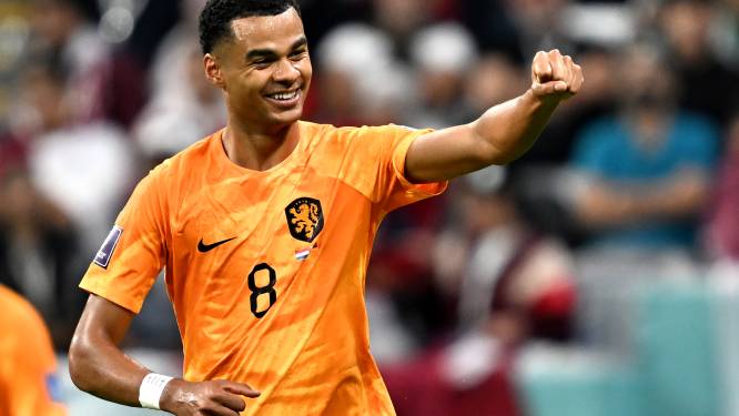Nederland met derde goal Gakpo als groepswinnaar naar achtste finales, Qatar blijft zonder punten achter
