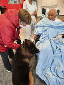 Bezoek van hond Cas in het ziekenhuis.