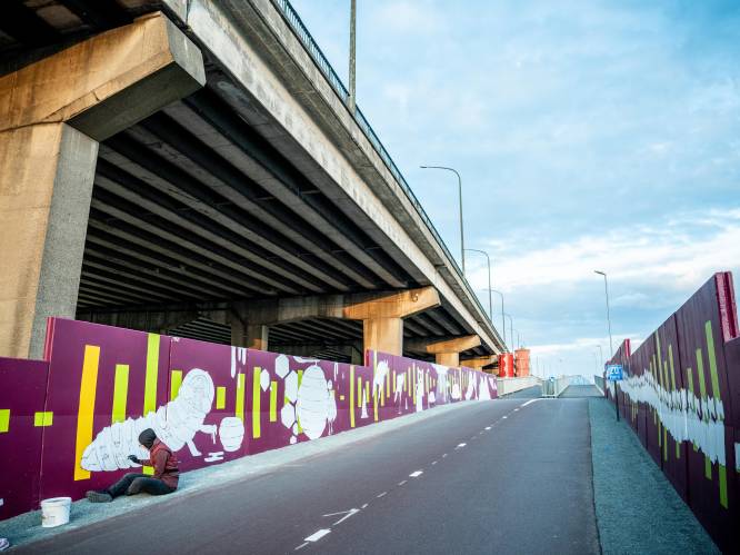 Indrukwekkende muurschildering siert IJzerlaanfietsbrug over Albertkanaal