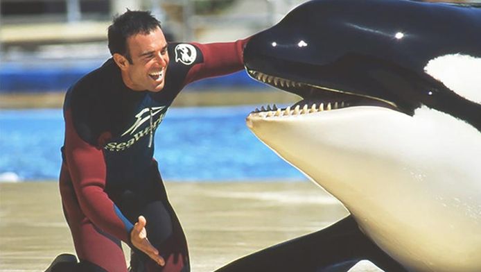 Jon Hargrove voert een show op met Corky in SeaWorld San Diego.