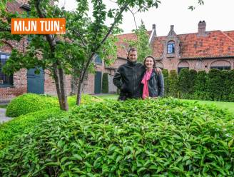 MIJN TUIN. De tuin van aannemer Carl Vulsteke in Boezinge: “Toen we hier kwamen wonen, was dit één groot weiland. Nu is het mijn visitekaartje”
