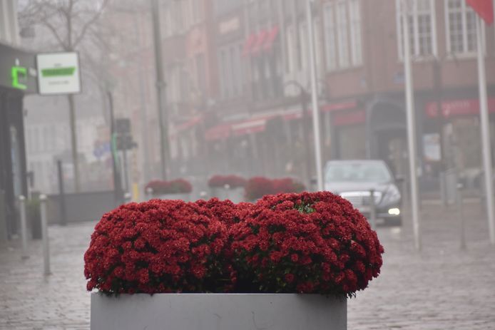 De uitgegooide chrysanten werden door omwonenden opnieuw in de bloembakken geplaatst op de Markt van Tielt..