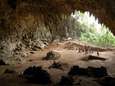 Uitgestorven ‘hobbits’ mogelijk verwant met moderne mens via neanderthaler en denisovamens