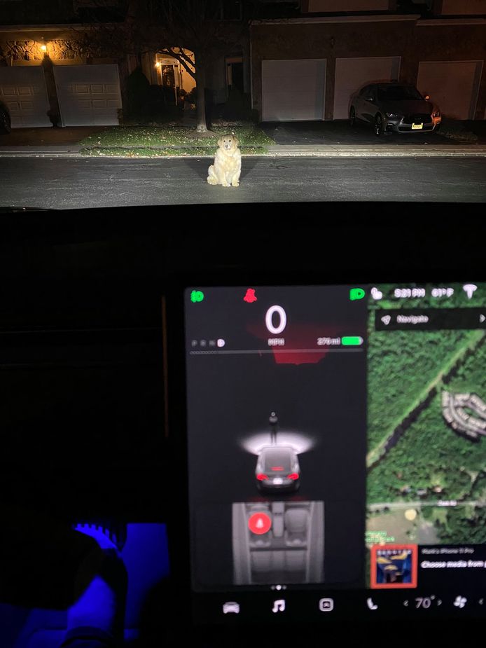 De technologie in een Tesla ziet een hond aan voor een voetganger.