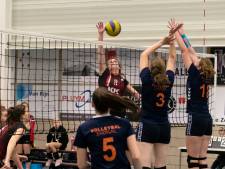 Gezocht: volleybalsters voor de promotieklasse (Stevo zit erom verlegen)