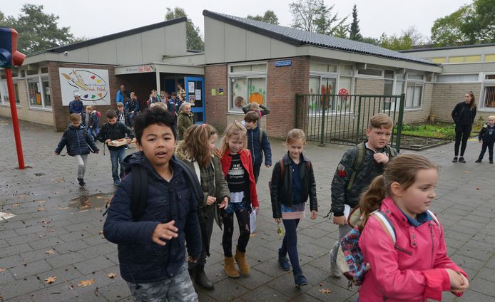 toelage klif Slank Te weinig kinderen; school Wijk bij Duurstede moet dicht | Utrecht | AD.nl