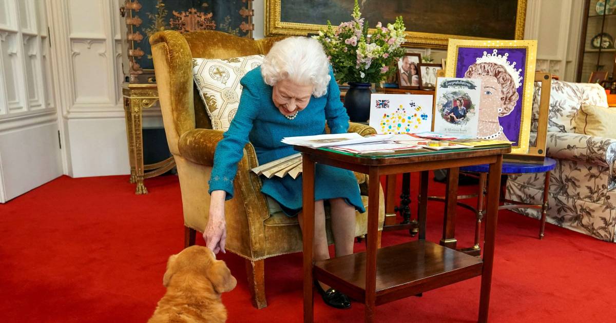 What will materialize to the queen’s final two corgis now?  |  Queen Elizabeth II has died