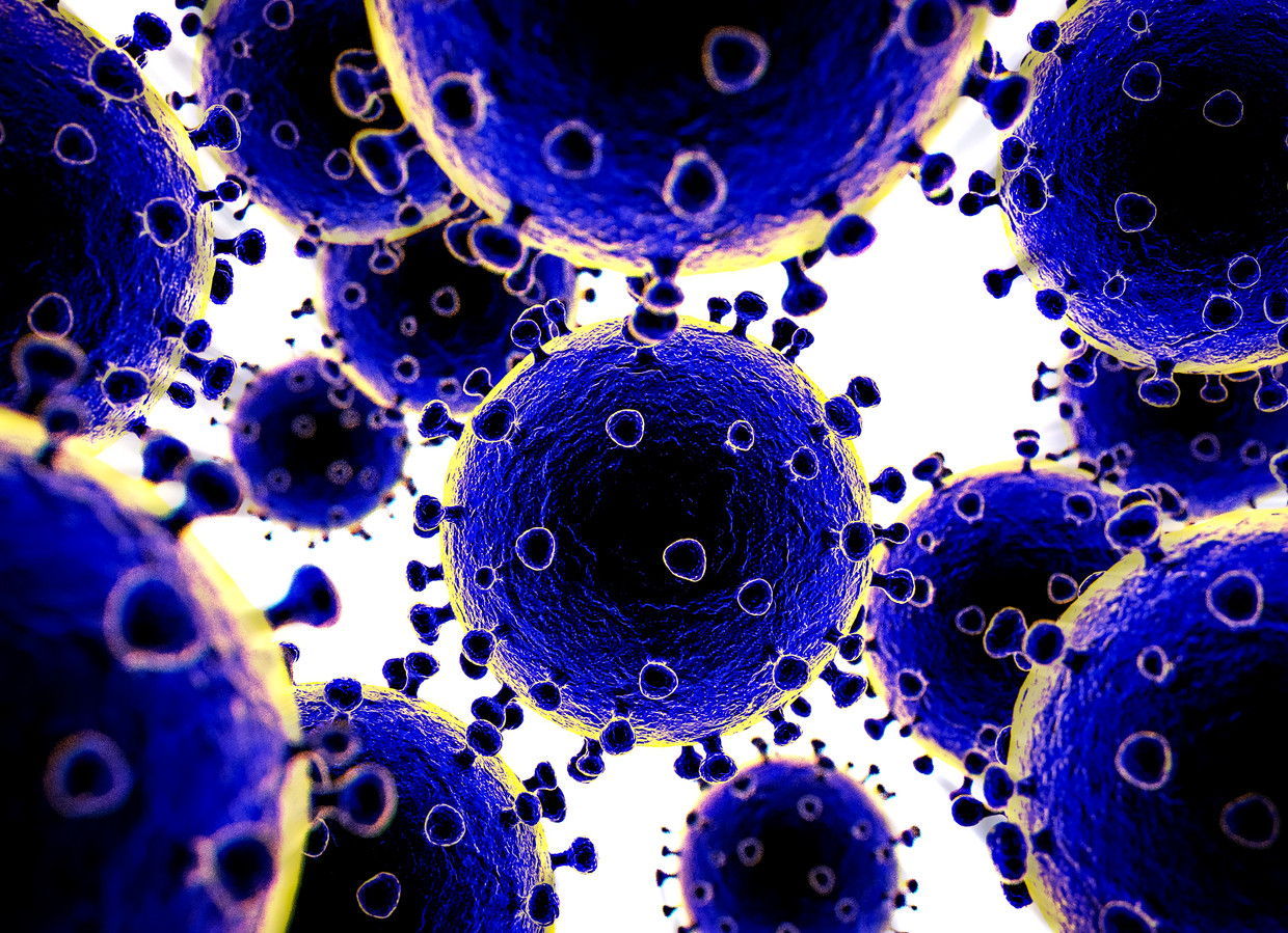 Het coronavirus: grap, complot of wapen? Beeld Rob Engelaar