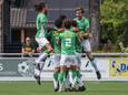 Baronie strijdt tegen degradatie uit de derde divisie.