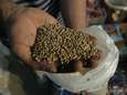 E.coli: L'UE retire des graines en provenance d'Egypte