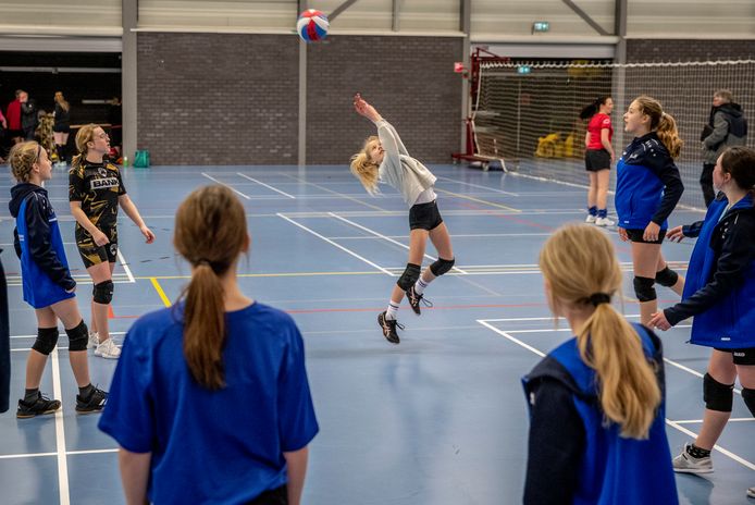 Pegasus in Reusel timmert aan de weg met veel jong volleybaltalent.