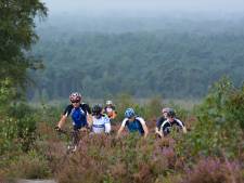 Hellendoornse raad maakt gezamenlijk een vuist tegen afsluiting: ‘Mountainbikroutes op Sallandse Heuvelrug moeten open blijven’
