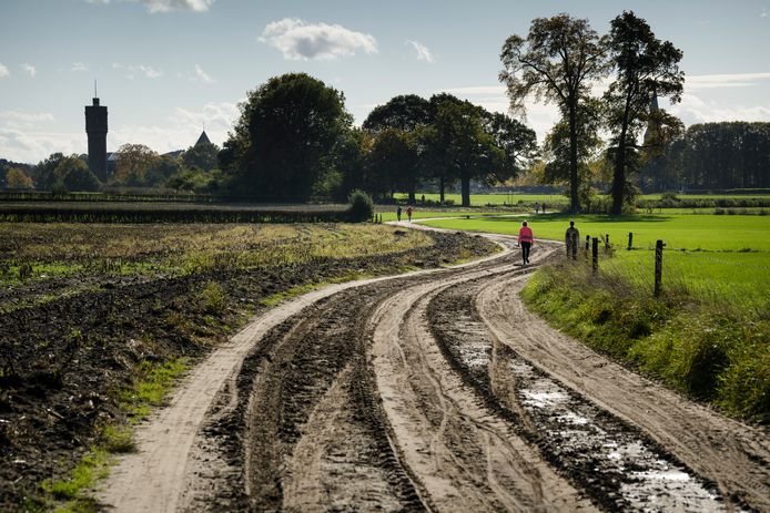 Wandelen Lijkt Tijdens De Coronacrisis De Nieuwe Trend In Twente Hier Vergeet Je Zelfs Dat Er Corona Is Hof Van Twente Tubantia Nl