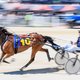Paarden slaan met zweep in races voortaan taboe. ‘Idioterie!’
