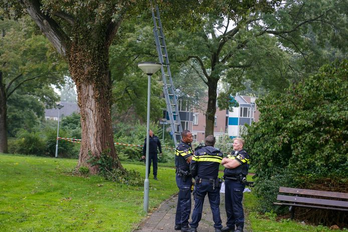 De politie heeft de boom op een grasveld in de Dordtse wijk Stadspolders ruim afgezet met linten. Een metershoge ladder staat tegen een boom.