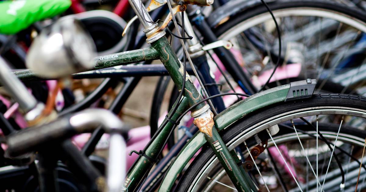 Floreren Smash Empirisch Zo vind je de beste studentenfiets | Tips voor studenten | AD.nl