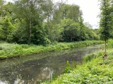 Verbeter het water, begin bij jezelf: was je auto een stuk minder, bijvoorbeeld