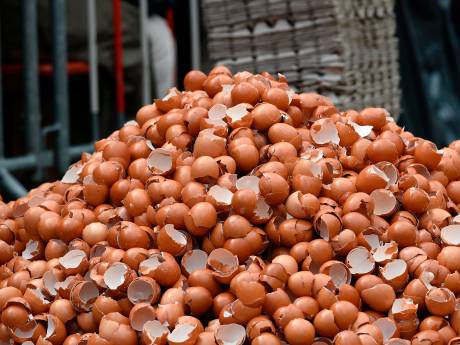 Justitie wil eigenaren Chickfriend plukken na fipronilschandaal: tonnen geëist
