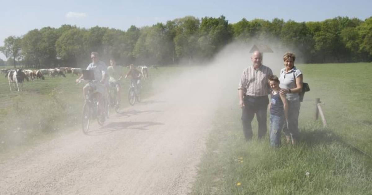 Deklaag tegen stuifzand