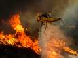 Nieuwe bosbrand in Californië bedreigt woonwijk: gezinnen geëvacueerd, ook gedetineerden moeten gevangenis verlaten