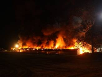 Zware boerderijbrand in Bocholt, twee brandweermannen lichtgewond