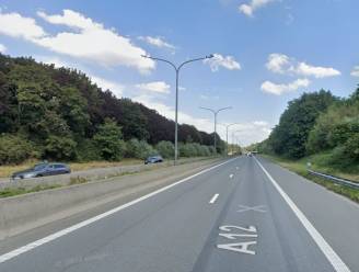 Half uur file op A12 richting Antwerpen vanaf Wilrijk: stilstaand voertuig ter hoogte van Antwerpen-Zuid