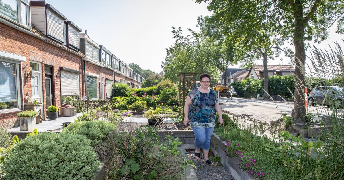 inwoners pikken bijna drie hectare grond van de gemeente noord beveland bevelanden pzc nl