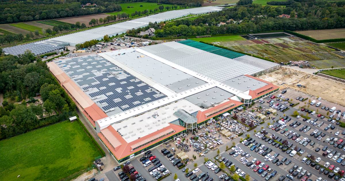 Oosterik staat na 53 jaar nog altijd met beide benen op de grond: ‘Mijn droom? Een permanente kersts