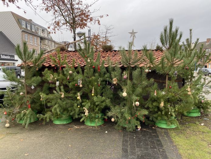 Versierde kerstbomen op het dorpsplein in Oud-Turnhout