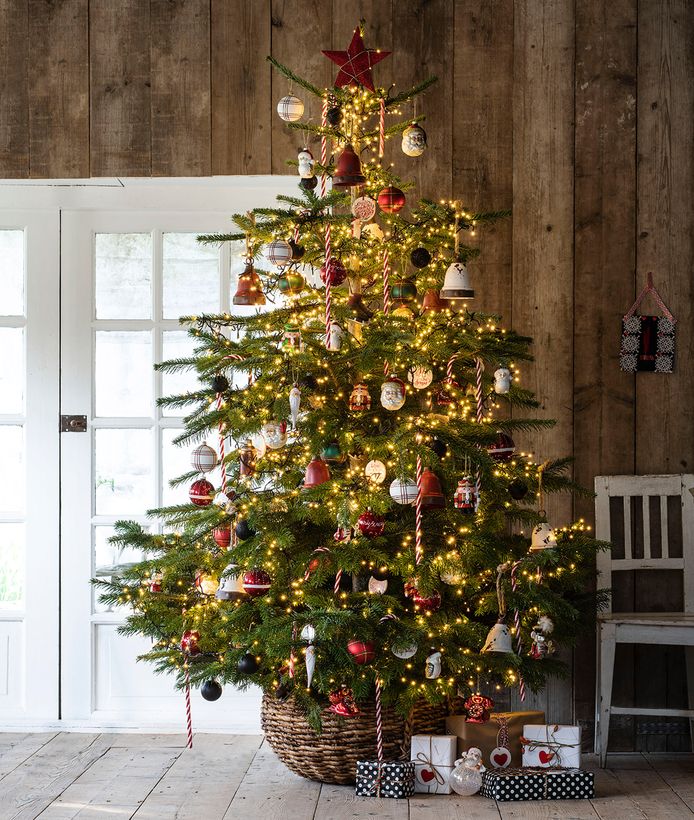 patroon Gastvrijheid Planeet Tien om te zien: kies de kerstboom die het beste bij je past | WOON. |  hln.be