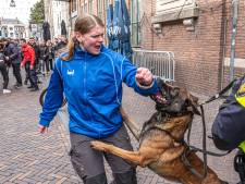 Politiepaarden, honden en agenten met hun knuppel denderen door de Voorstraat: ‘Wegwezen!’